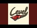 Level